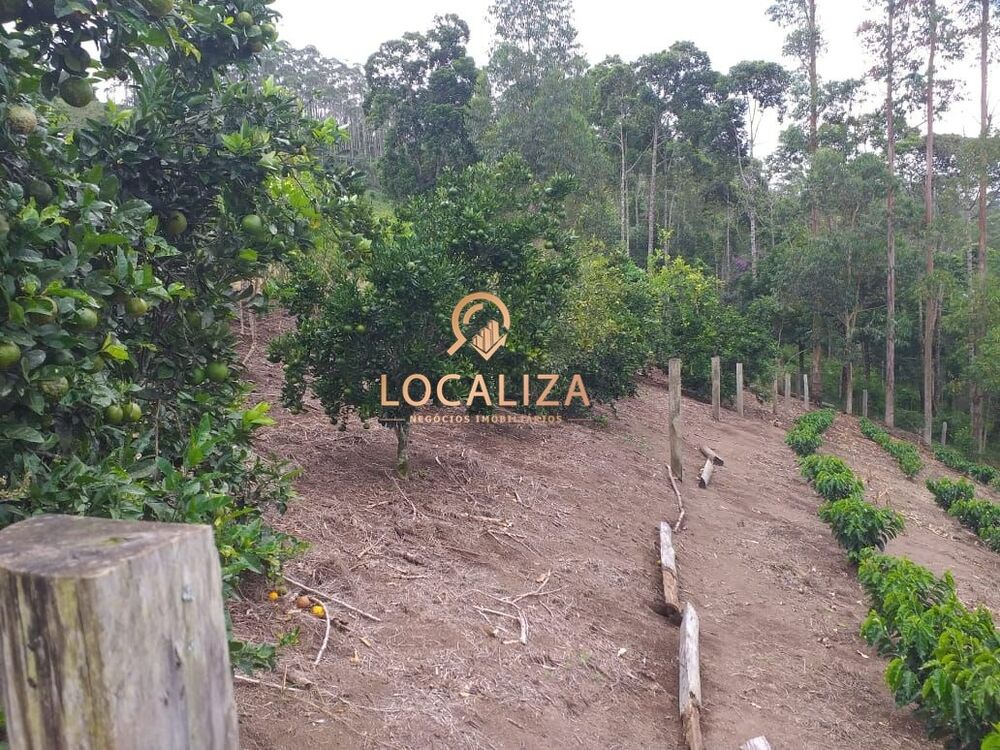 Chácara, 3 quartos, 2 hectares - Foto 30