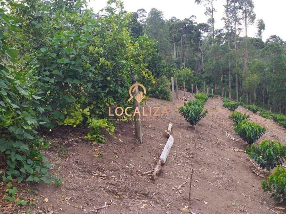 Chácara, 3 quartos, 2 hectares - Foto 27