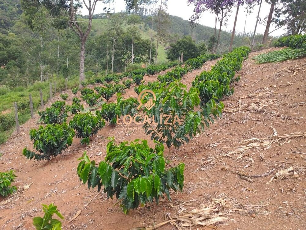 Chácara, 3 quartos, 2 hectares - Foto 35