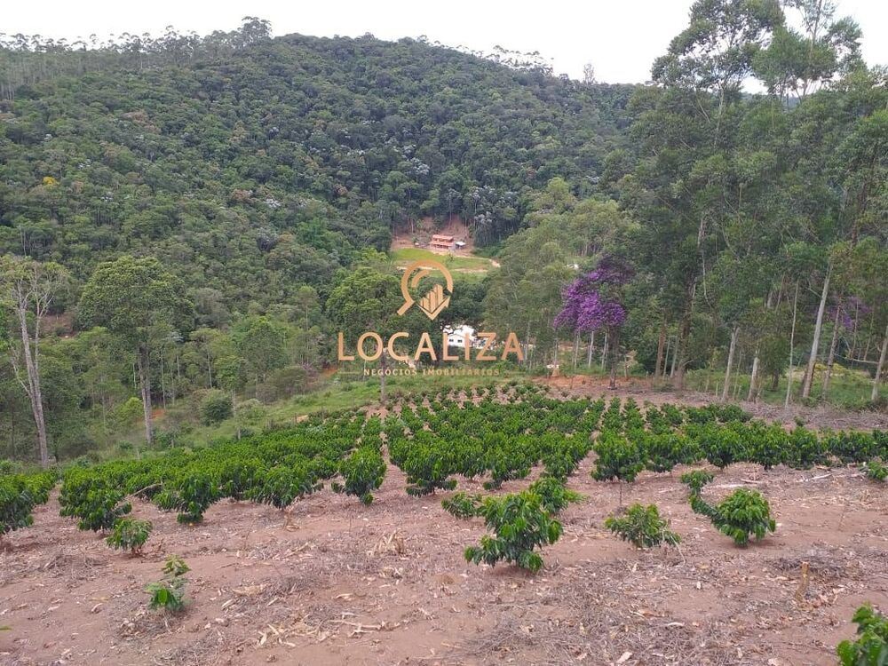 Chácara, 3 quartos, 2 hectares - Foto 28