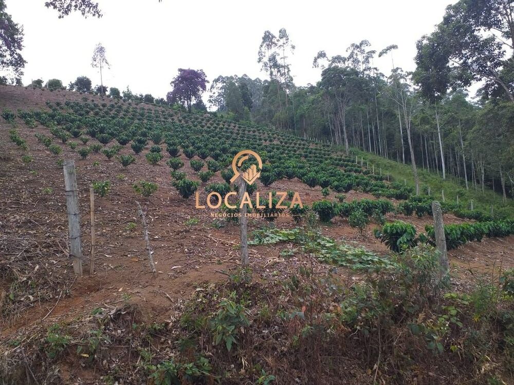 Chácara, 3 quartos, 2 hectares - Foto 29