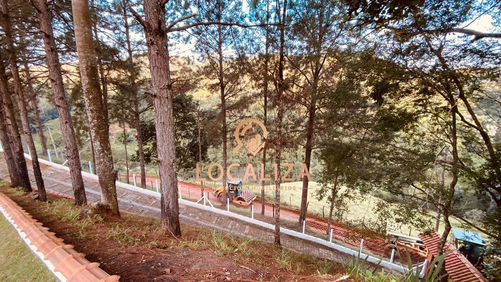 Sítio, 3 quartos, 24200 m² - Foto 7