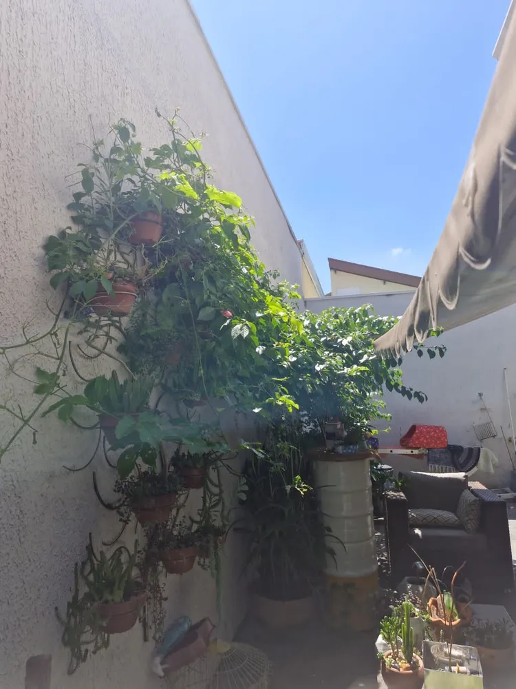 Casa, 4 quartos, 330 m² - Foto 6