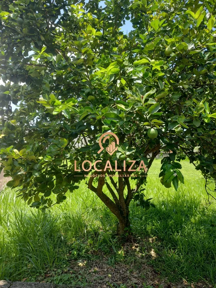 Chácara, 5 quartos - Foto 11