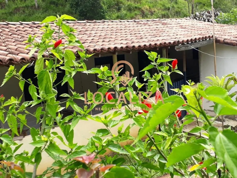 Sítio, 4 quartos - Foto 4