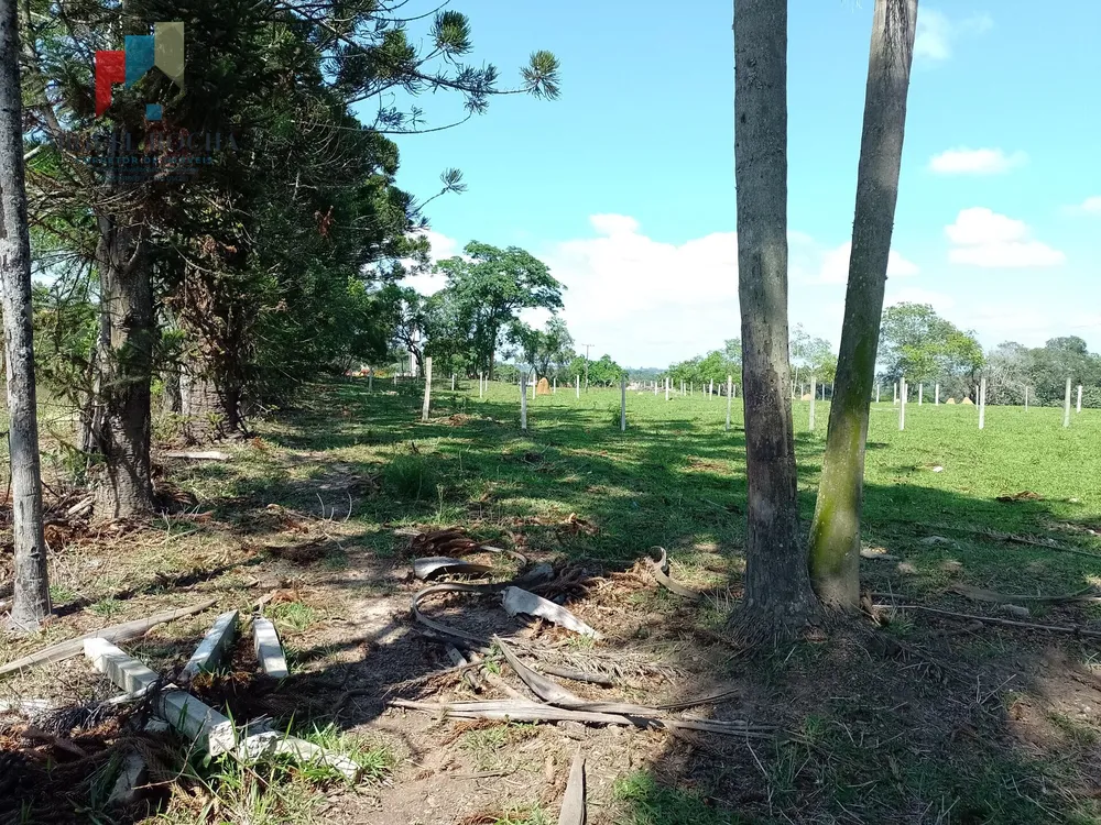 Terreno, 4000 m² - Foto 3