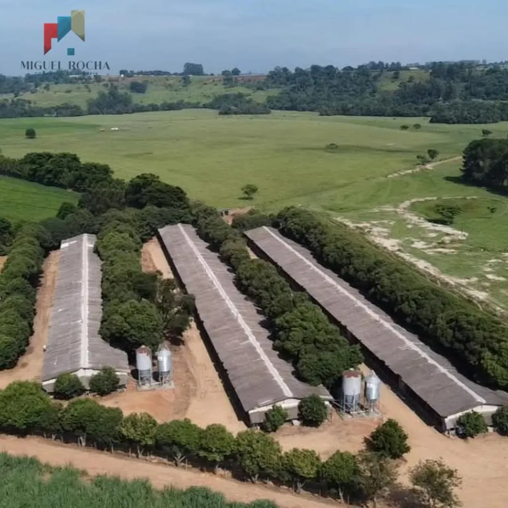 Sítio, 3 quartos, 17 hectares - Foto 4