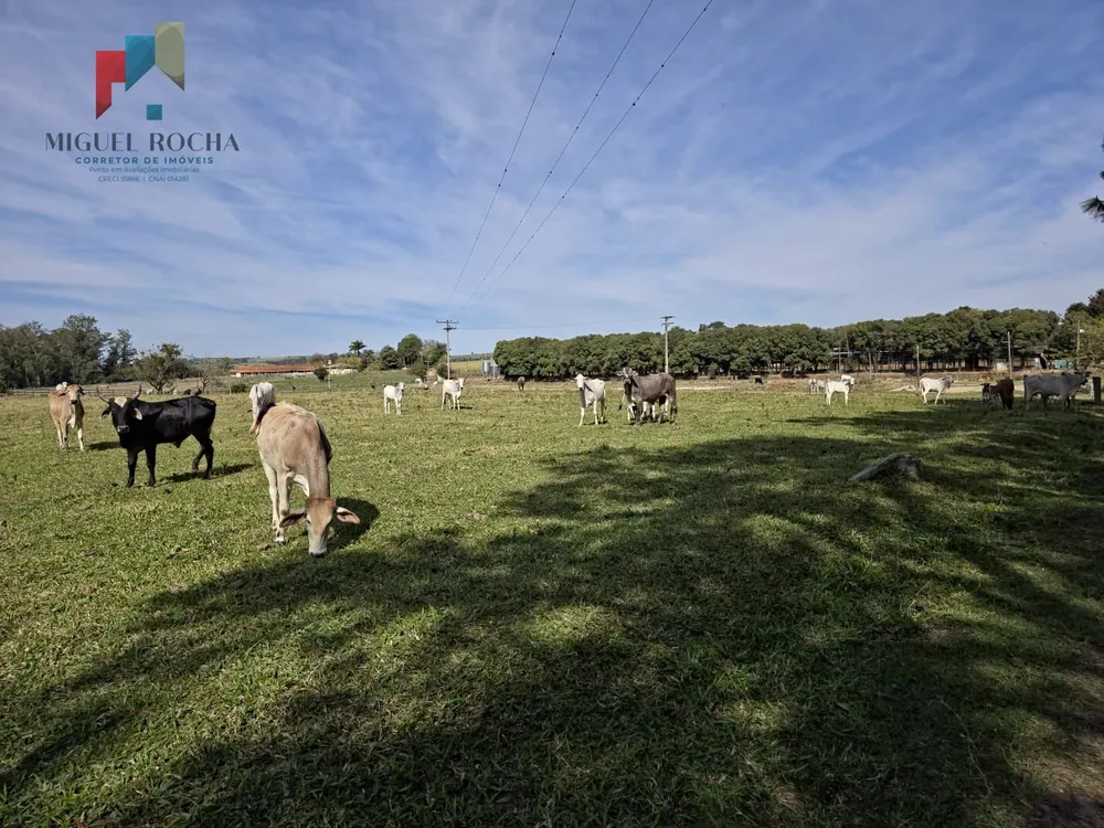 Sítio, 3 quartos, 17 hectares - Foto 14