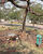 Terreno, 175 m² - Foto 6