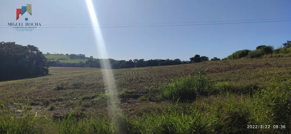 Chácara, 1 quarto, 46 hectares - Foto 1