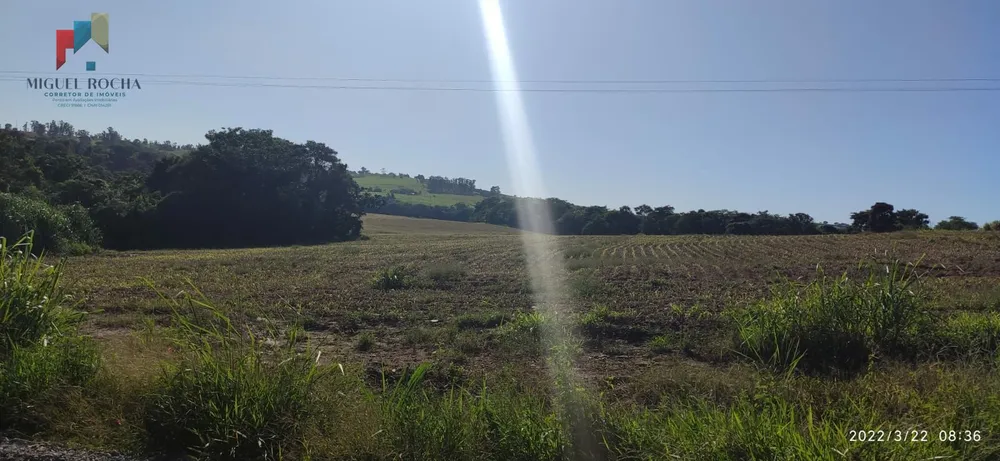 Chácara, 1 quarto, 46 hectares - Foto 2