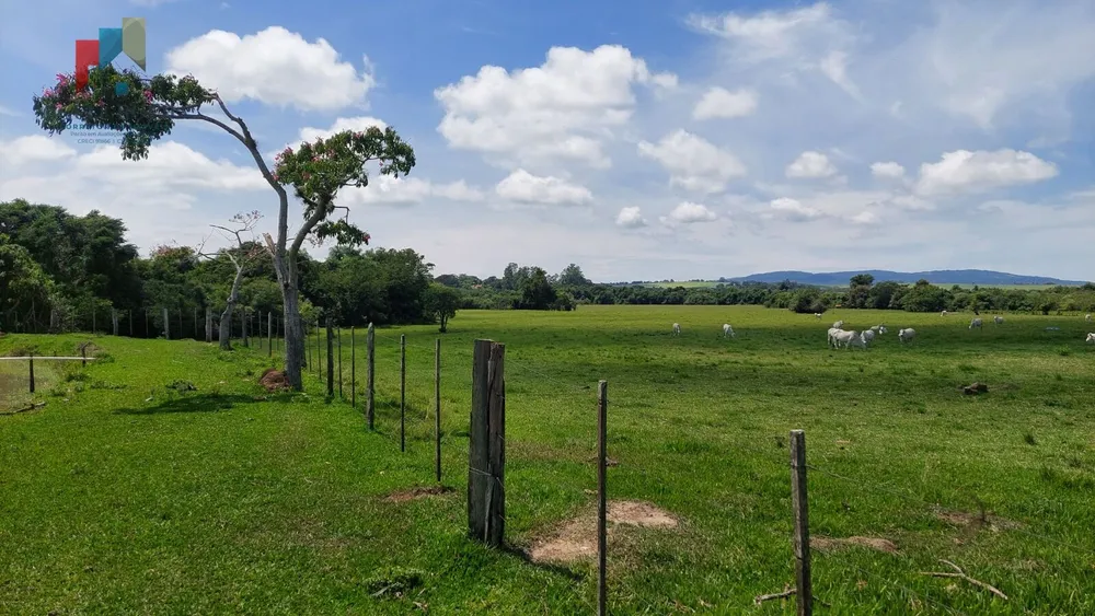 Fazenda, 92 hectares - Foto 4