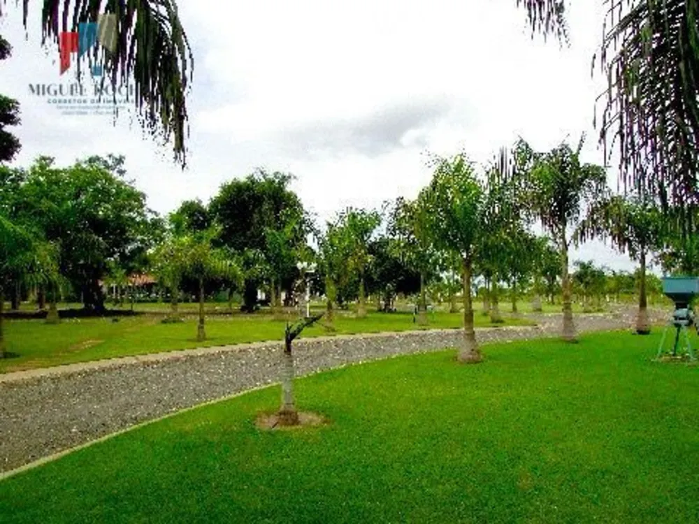 Fazenda, 92 hectares - Foto 5
