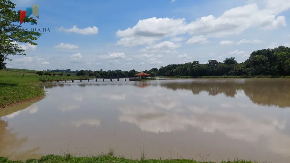 Fazenda, 92 hectares - Foto 10