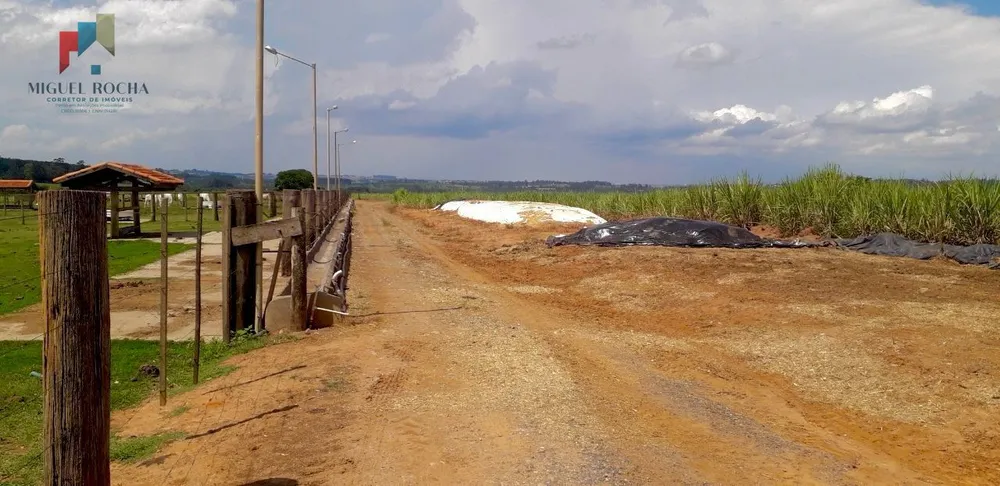 Fazenda, 92 hectares - Foto 9