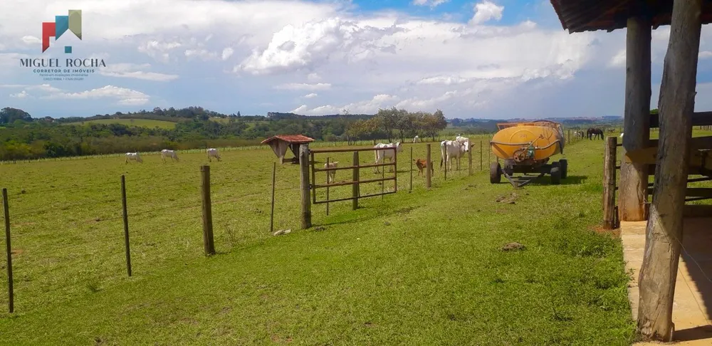 Fazenda, 92 hectares - Foto 7
