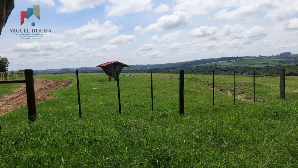 Fazenda, 92 hectares - Foto 8