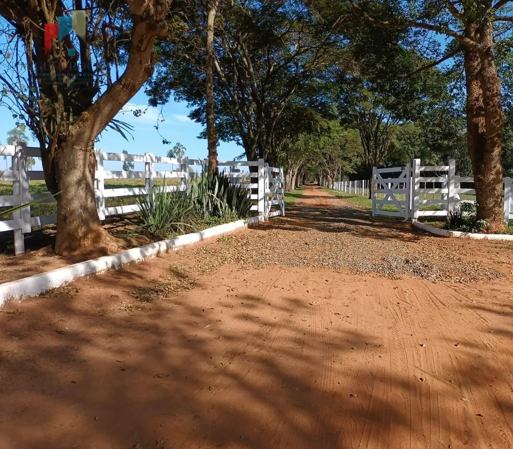 Fazenda, 97 hectares - Foto 4