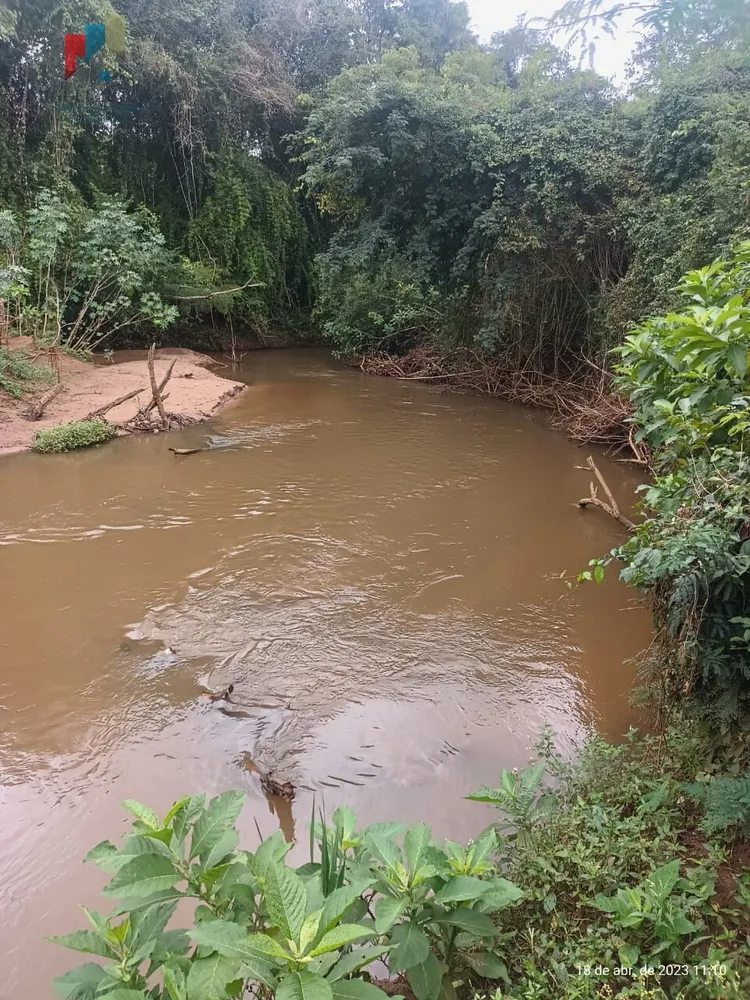 Fazenda, 97 hectares - Foto 14