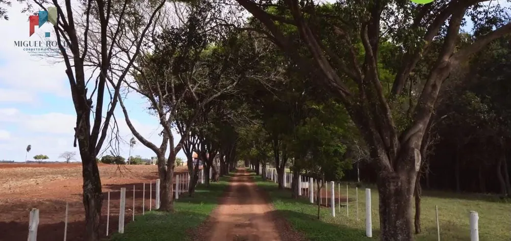 Fazenda, 97 hectares - Foto 5