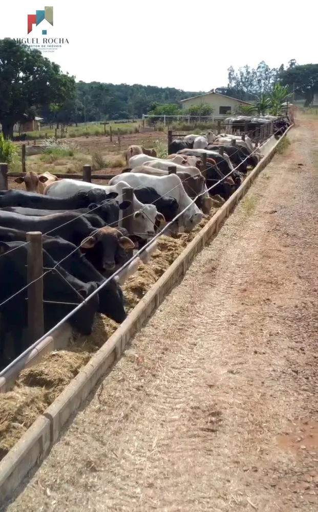 Fazenda, 97 hectares - Foto 16