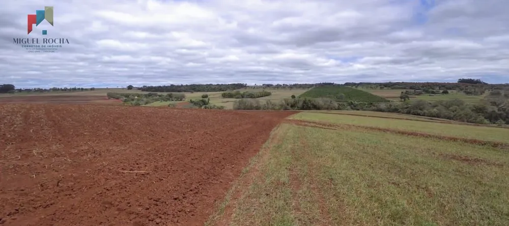 Fazenda, 97 hectares - Foto 9