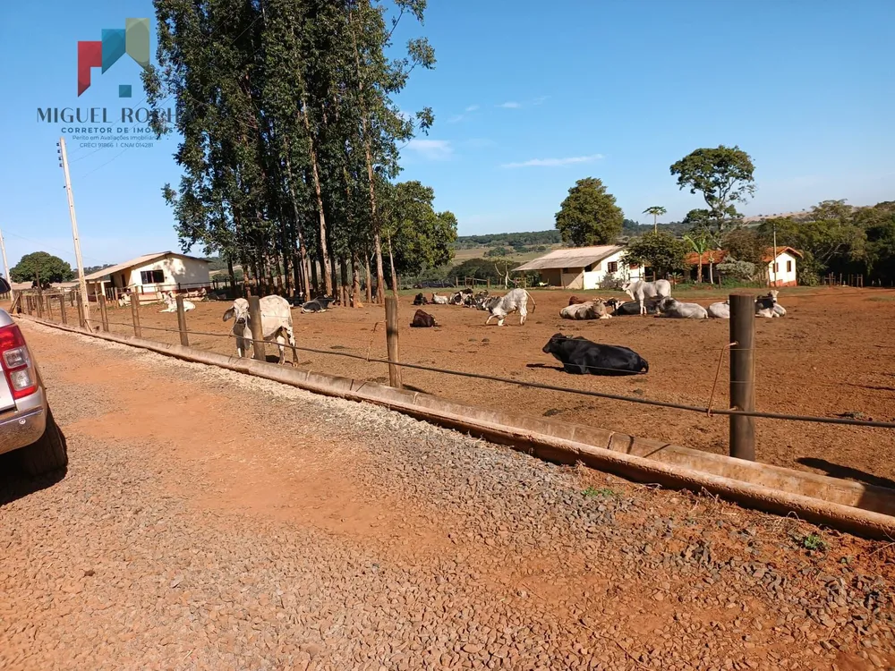 Fazenda, 97 hectares - Foto 12