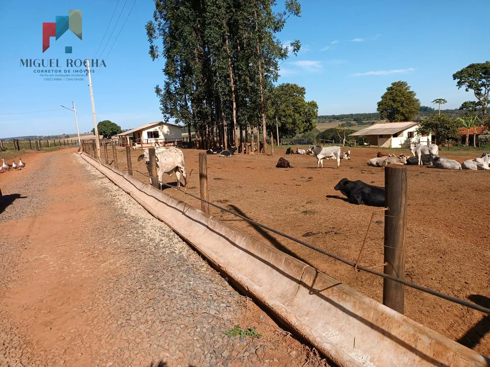 Fazenda, 97 hectares - Foto 8