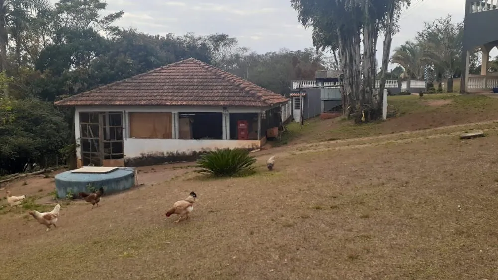 Chácara, 3 quartos, 1 hectares - Foto 9