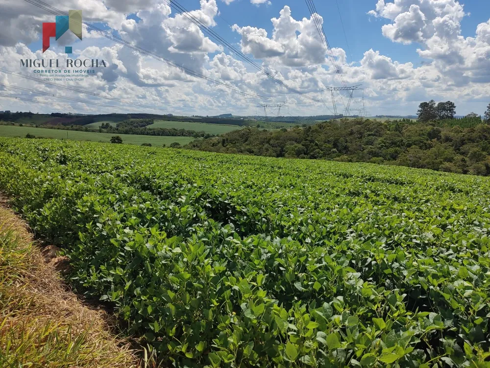 Sítio, 2 quartos, 73 hectares - Foto 4