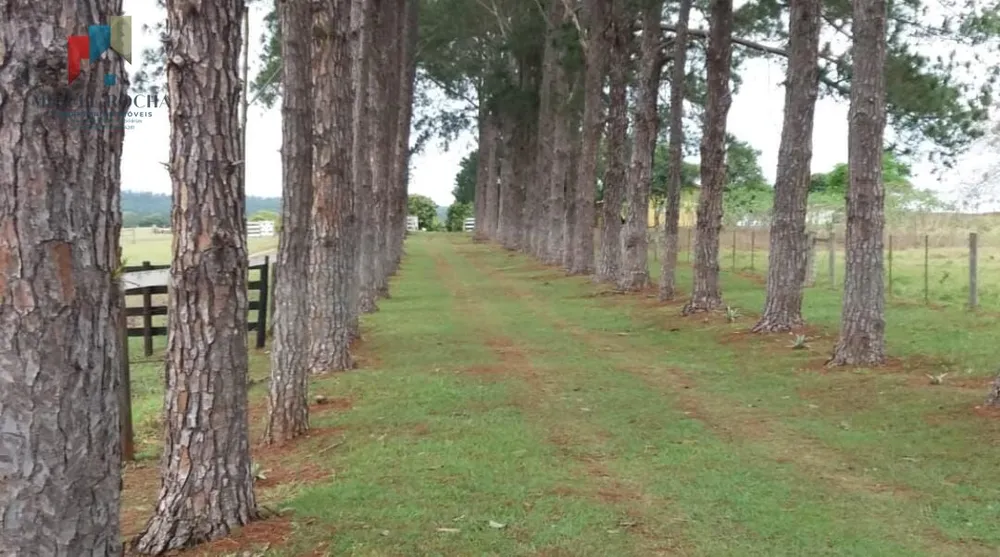 Chácara, 2 quartos, 332 hectares - Foto 1