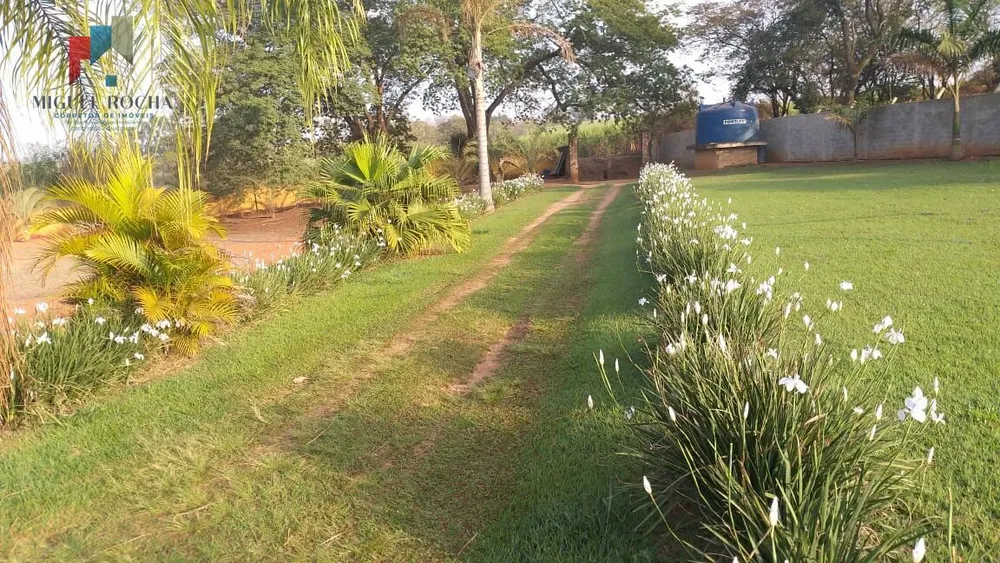 Chácara, 3 quartos, 6000 m² - Foto 3