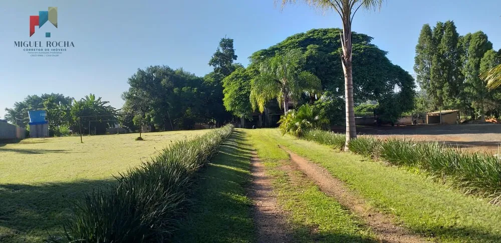 Chácara, 3 quartos, 6000 m² - Foto 4