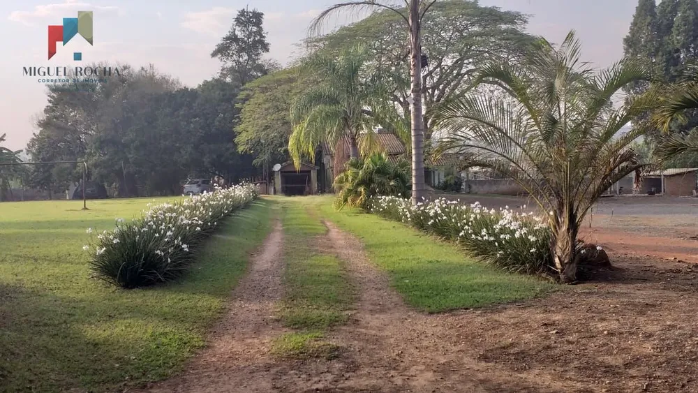 Chácara, 3 quartos, 6000 m² - Foto 5