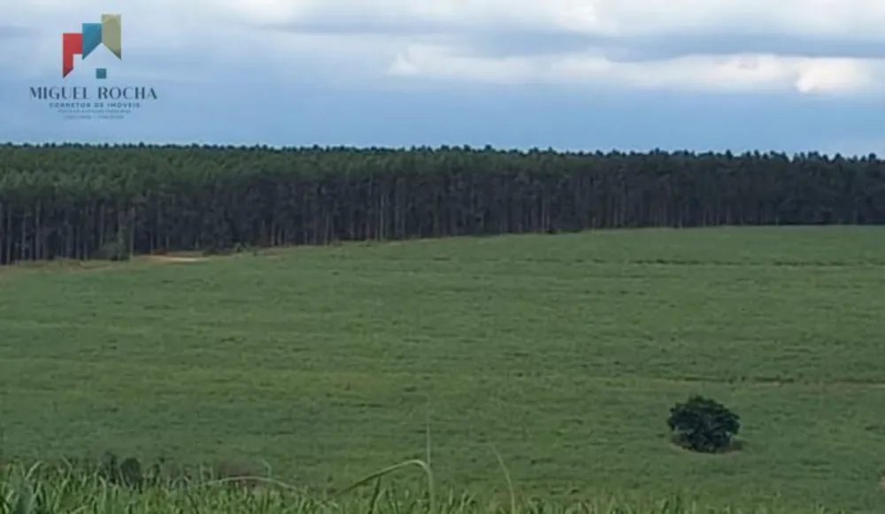 Fazenda, 235 hectares - Foto 6