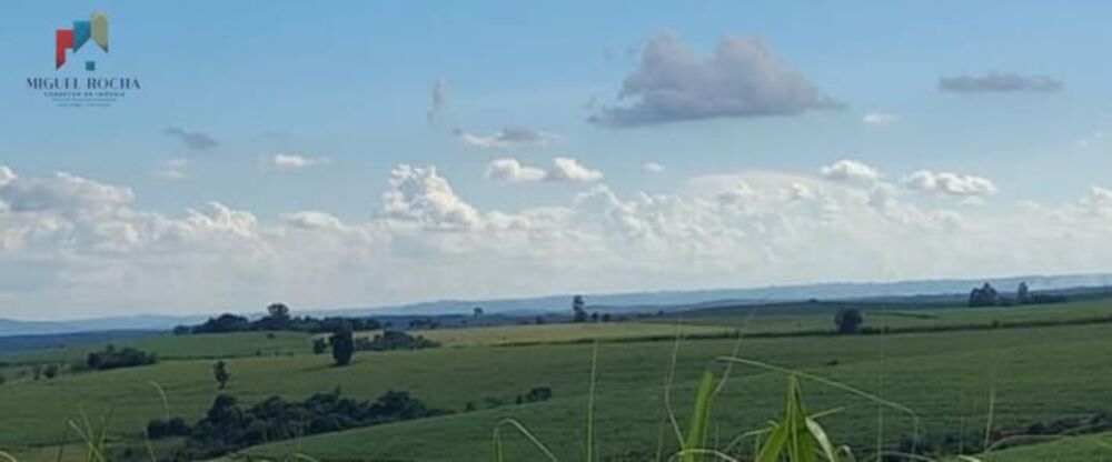 Fazenda, 235 hectares - Foto 3