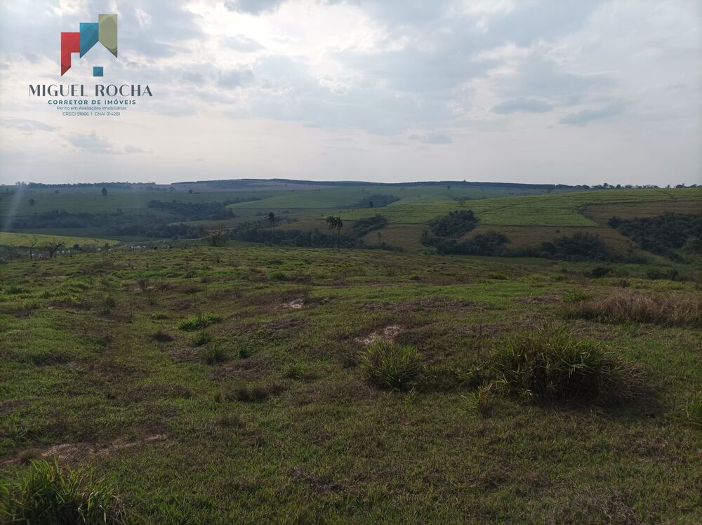 Fazenda, 235 hectares - Foto 2