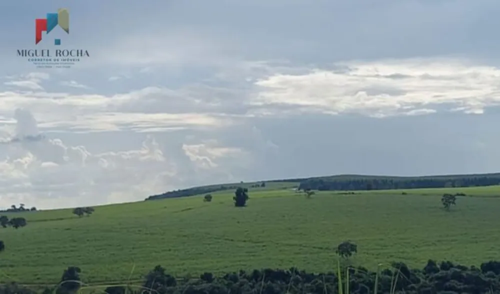 Fazenda, 235 hectares - Foto 7