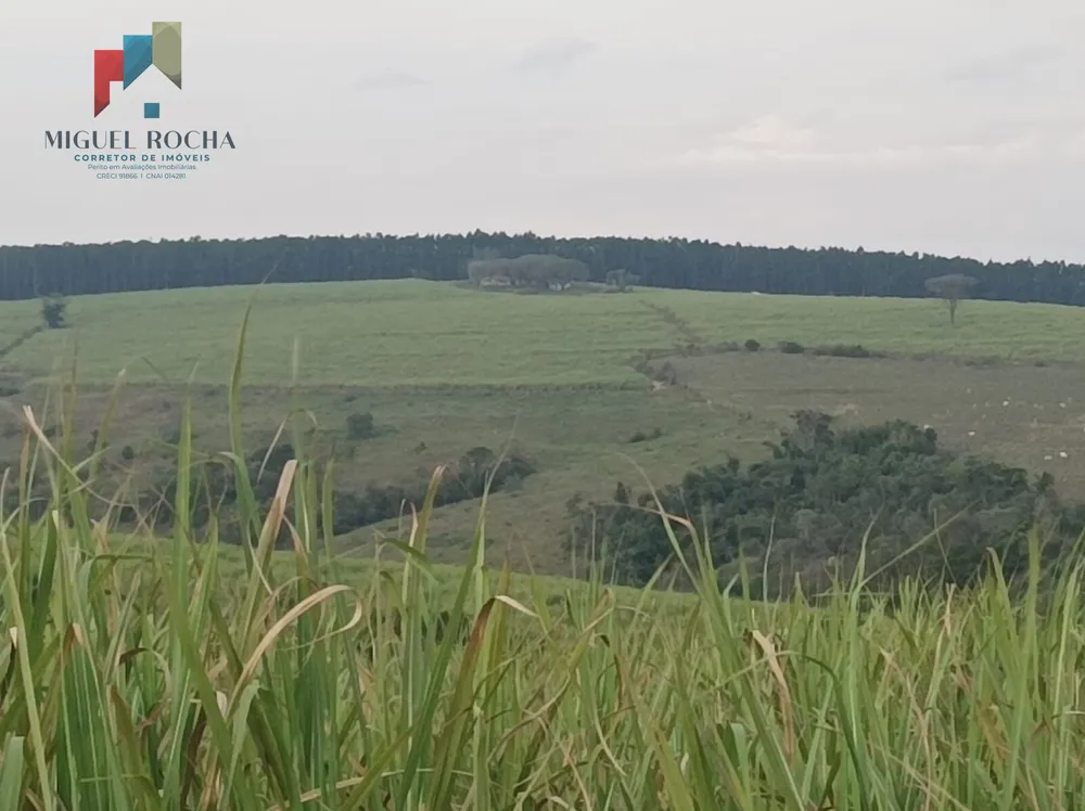 Fazenda, 235 hectares - Foto 3