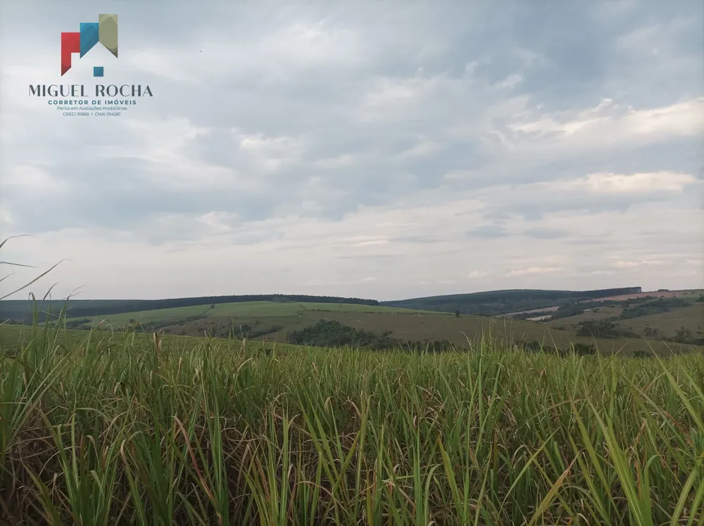 Fazenda, 235 hectares - Foto 1