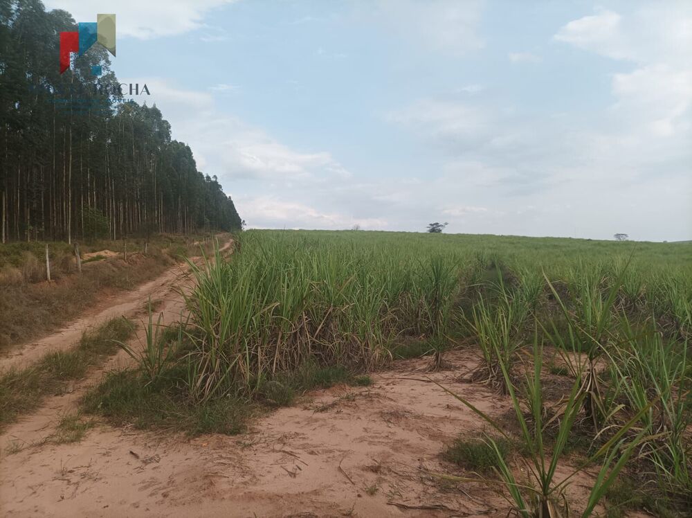 Fazenda, 235 hectares - Foto 4