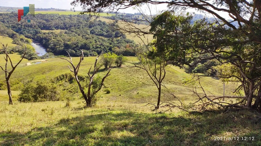 Sítio, 59 hectares - Foto 3