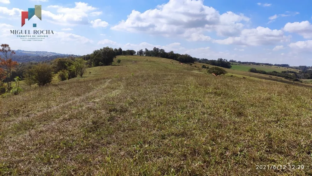 Sítio, 59 hectares - Foto 1
