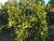 Fazenda, 411 hectares - Foto 4