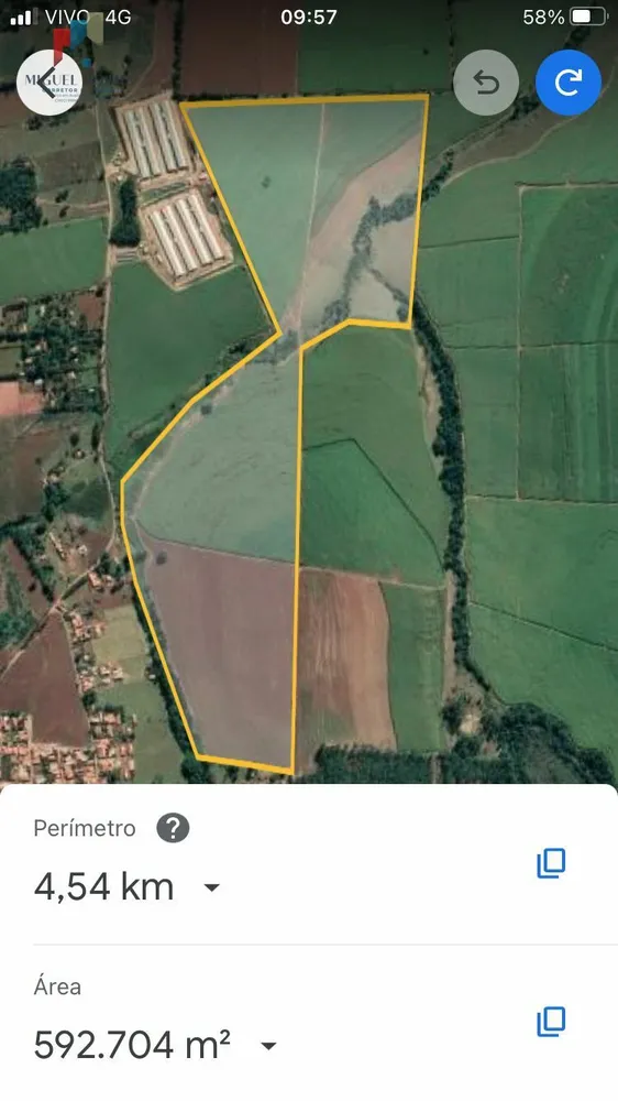 Sítio, 58 hectares - Foto 6