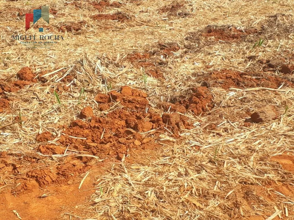 Sítio, 58 hectares - Foto 4