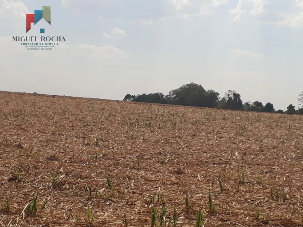 Sítio, 58 hectares - Foto 1