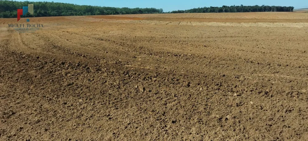 Fazenda, 150 hectares - Foto 1