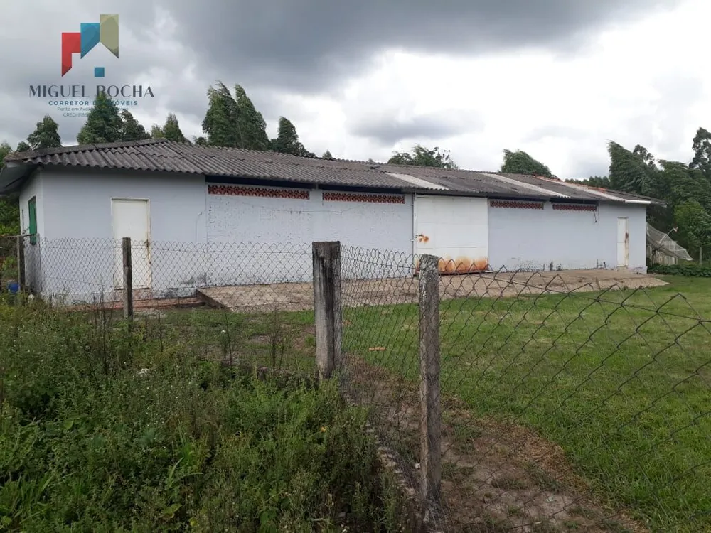 Fazenda, 150 hectares - Foto 6