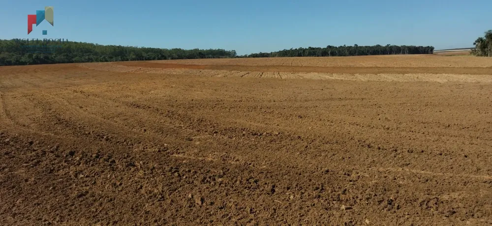 Fazenda, 150 hectares - Foto 2